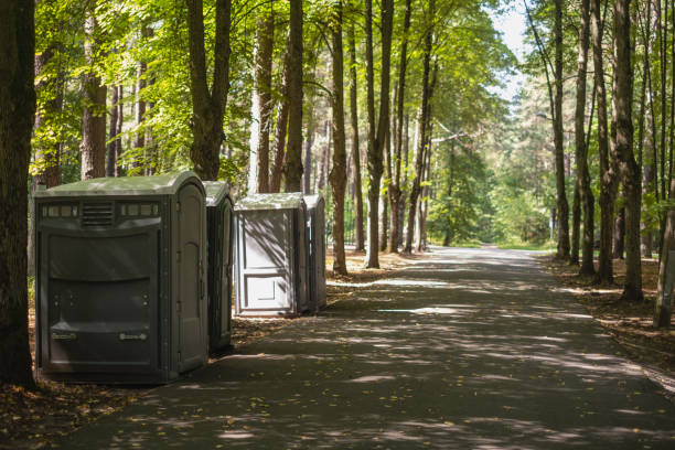 Best Porta potty delivery and setup  in Honokaa, HI